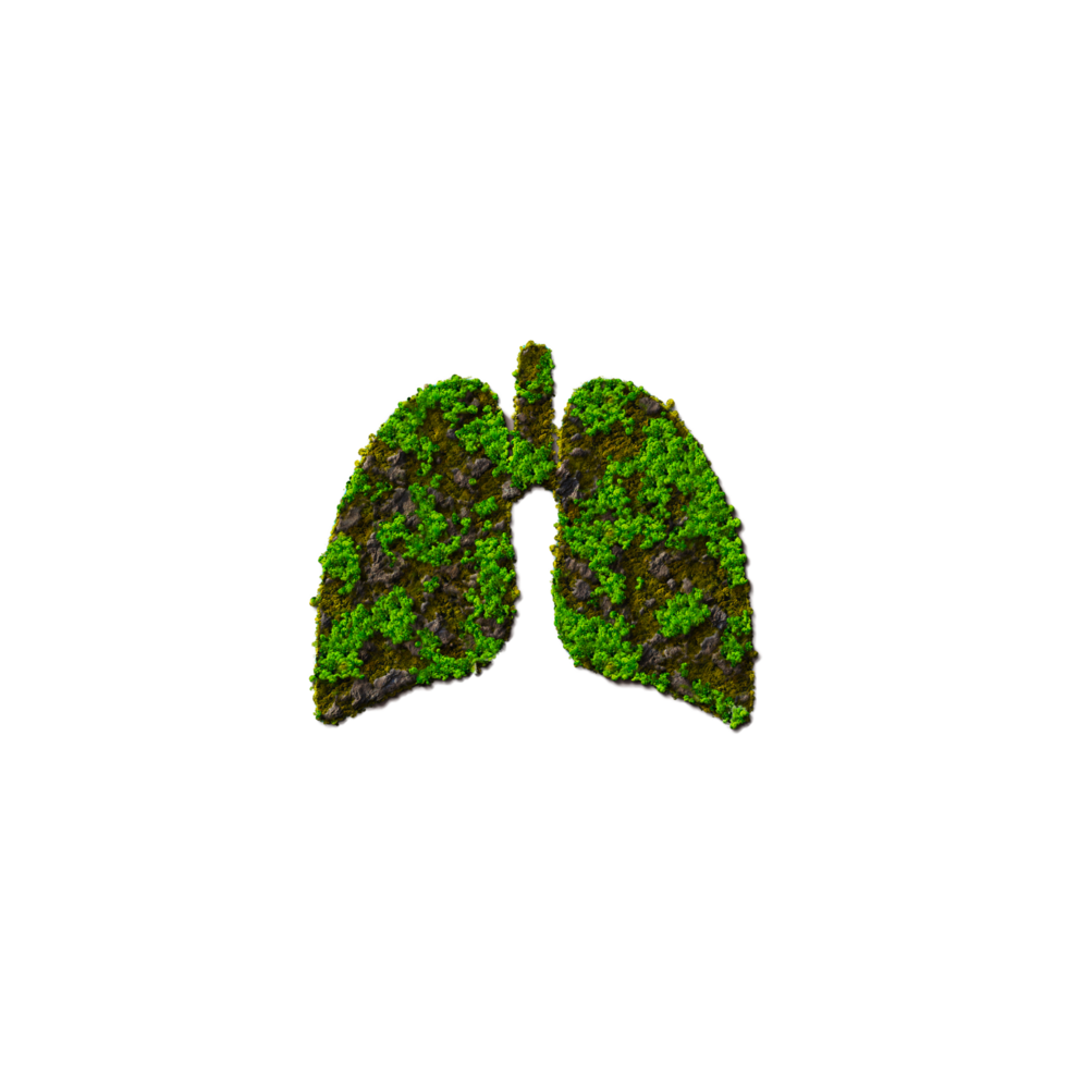 Green Heart without background 3d Illustration png