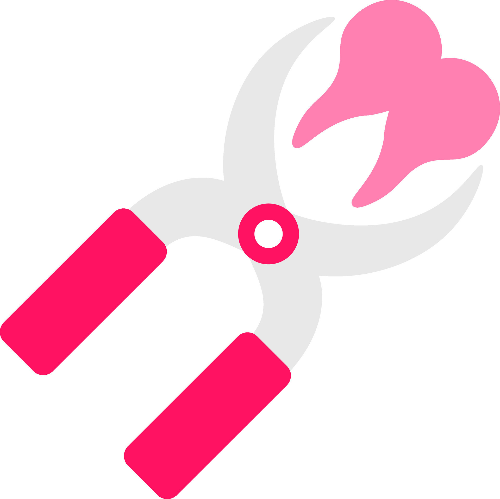 Dental Pliers with Teeth icon in grey and pink color. 25280363 Vector