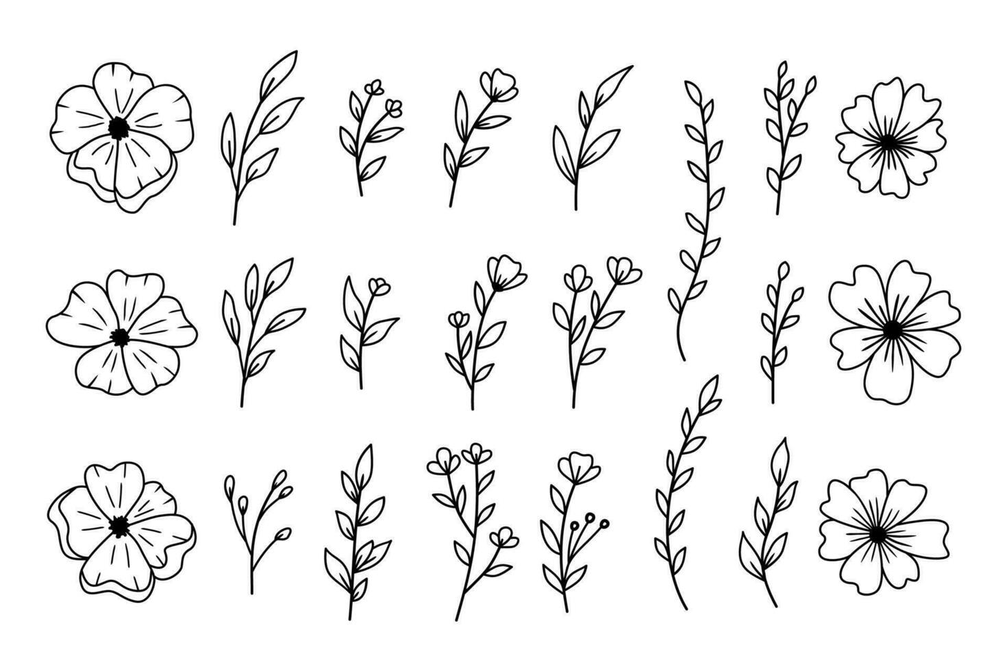 A collection of hand drawn plants leaves and flowers decorative floral elements vector