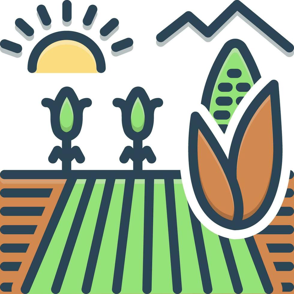 color icon for cornfield vector