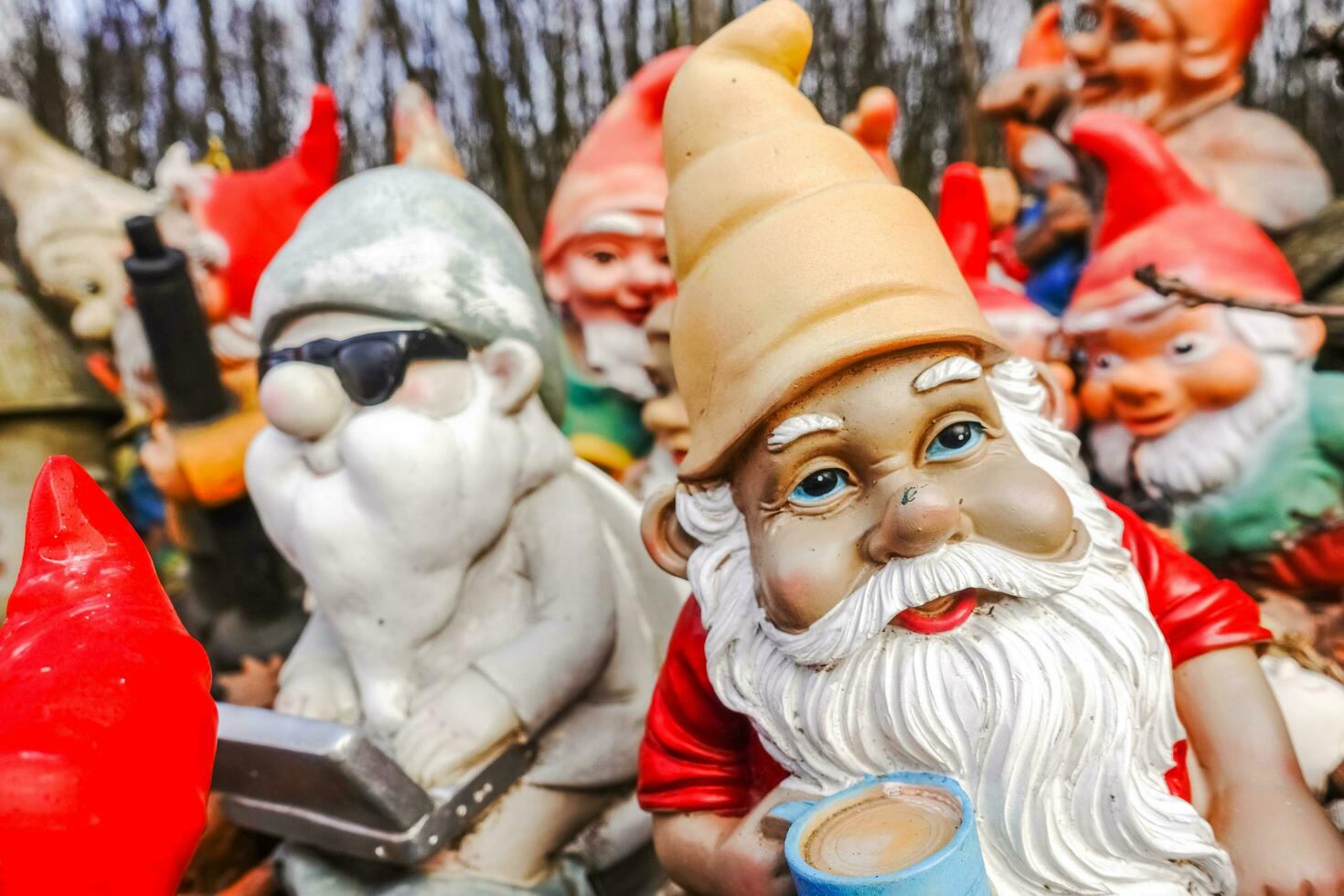 colorful garden gnome with a white beard at a place in the forest photo