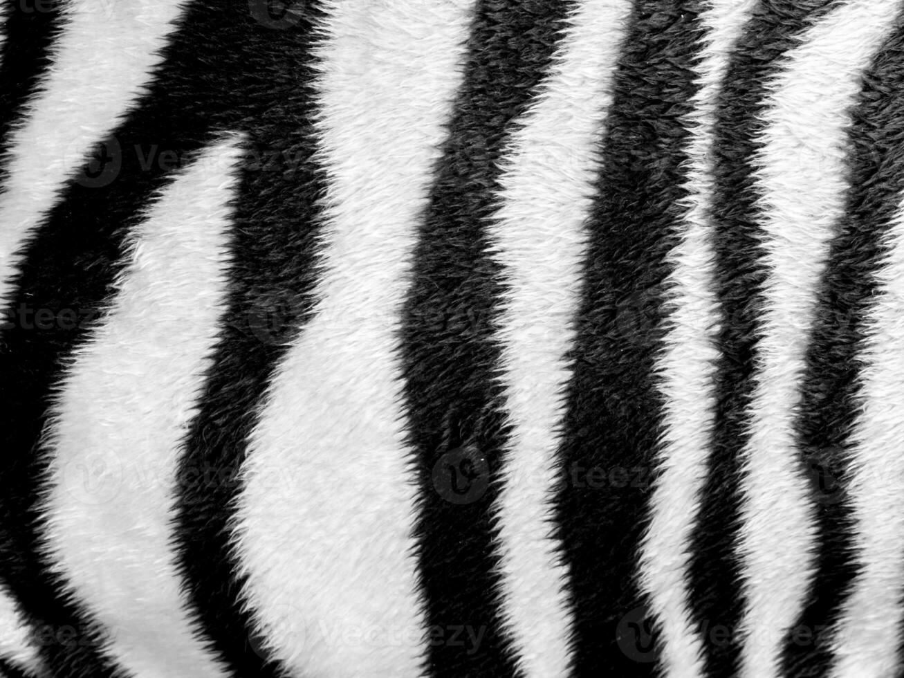 Zebra skin pattern leatherette fabric photo