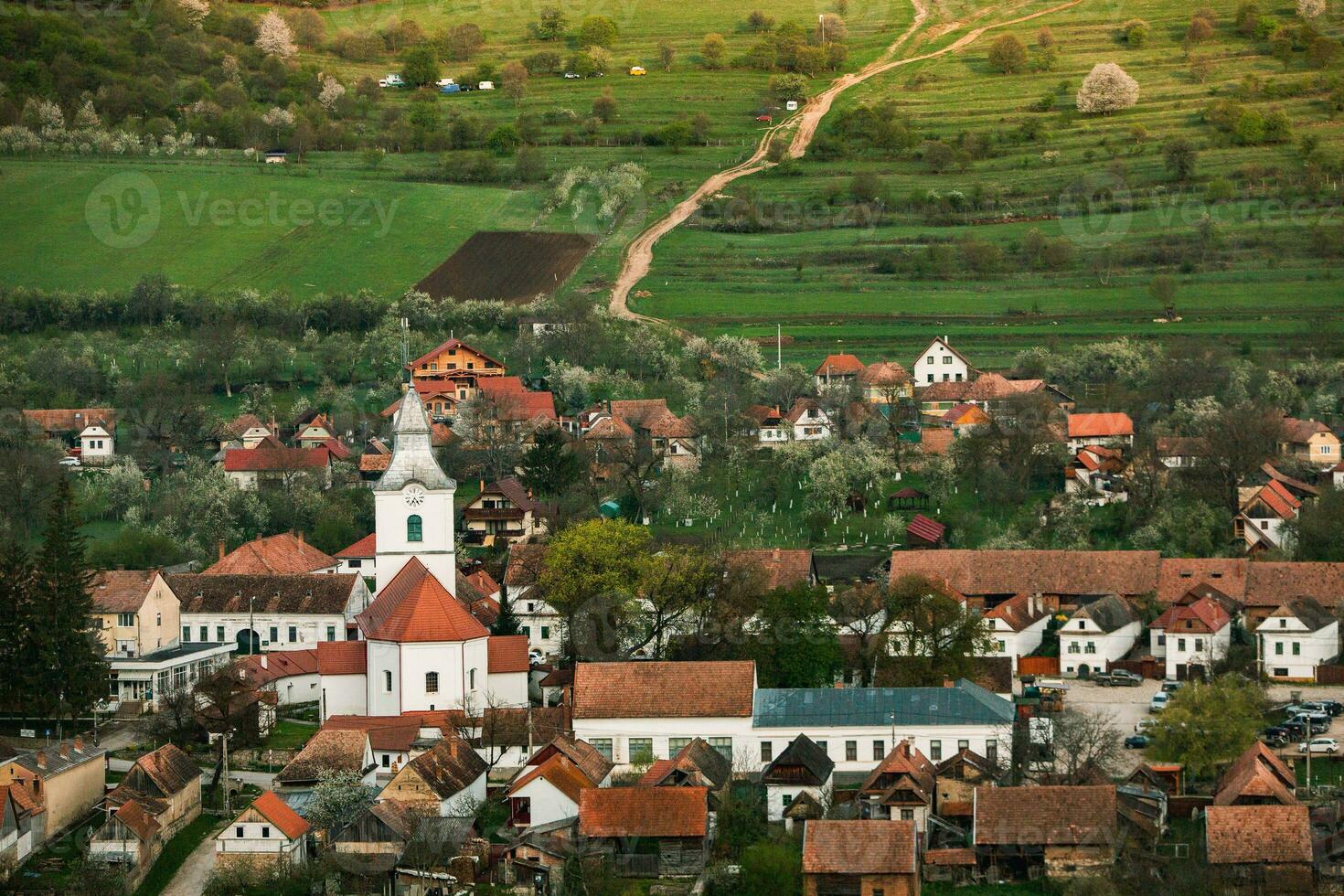 Rimetea is a small village located in Transylvania, Romania. It is situated in the Apuseni Mountains and is known for its picturesque setting and well preserved Hungarian architectural style. photo