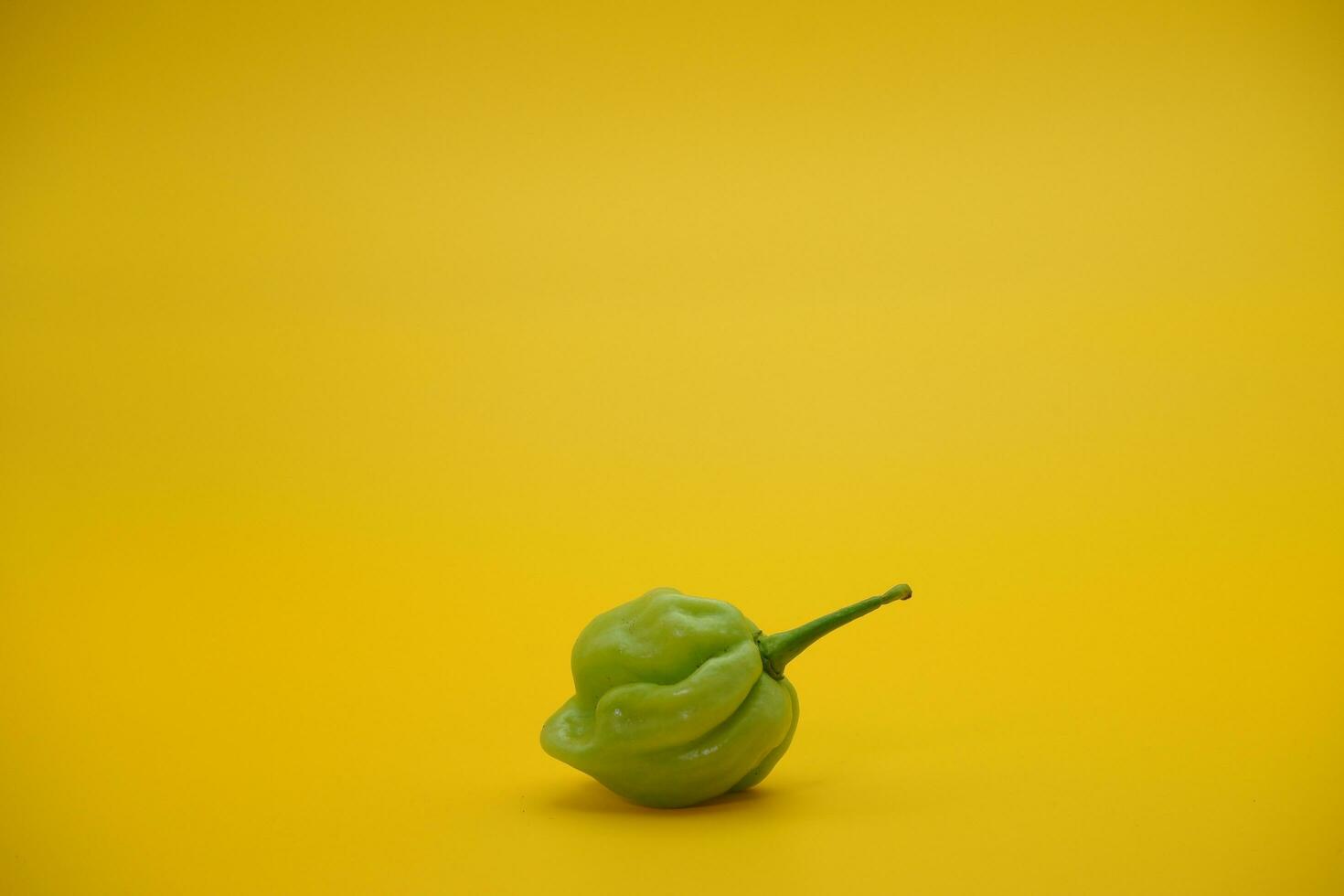 katokkon chili. green toraja chili isolated on yellow background. one of the hottest chilies in Indonesia. photo