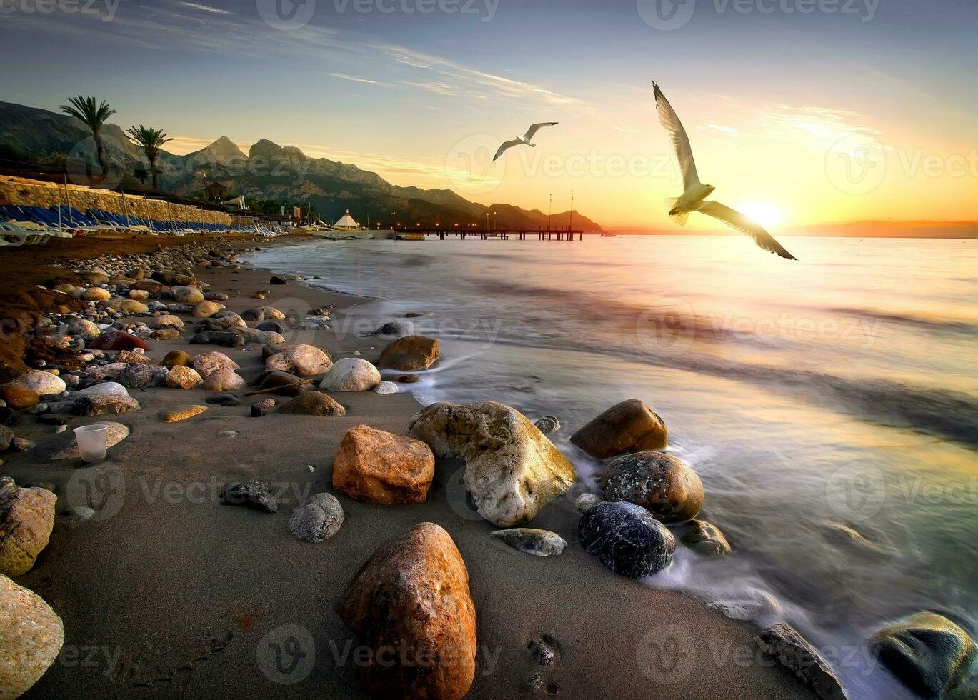 Seagulls over beach photo