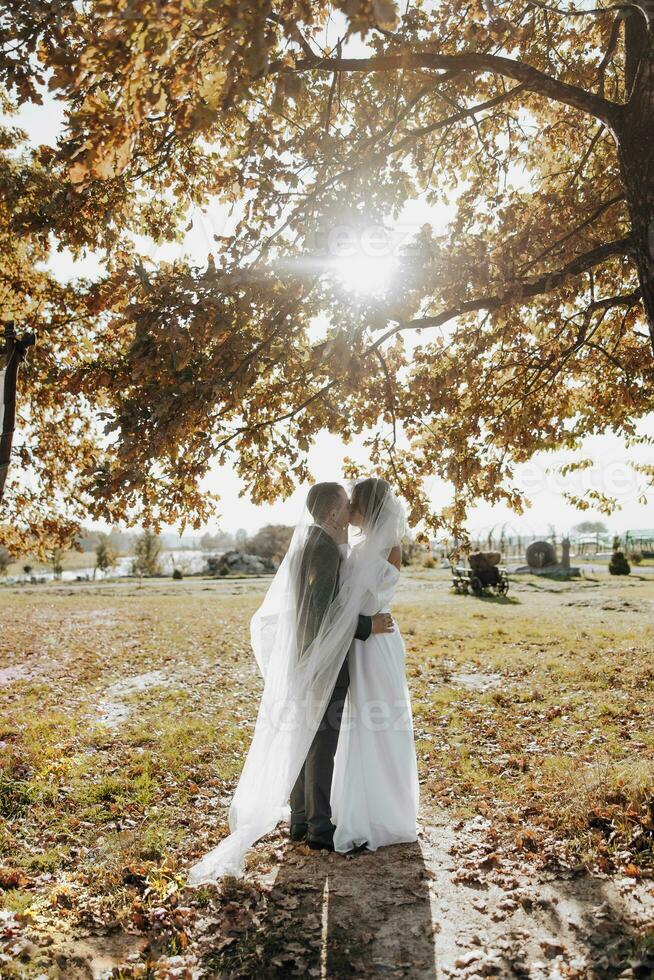 https://static.vecteezy.com/system/resources/previews/025/284/763/non_2x/elegant-beautiful-couple-under-veil-standing-in-front-and-looking-at-each-other-the-bride-in-a-beautiful-white-dress-gorgeous-light-adds-a-romantic-atmosphere-photo.jpg