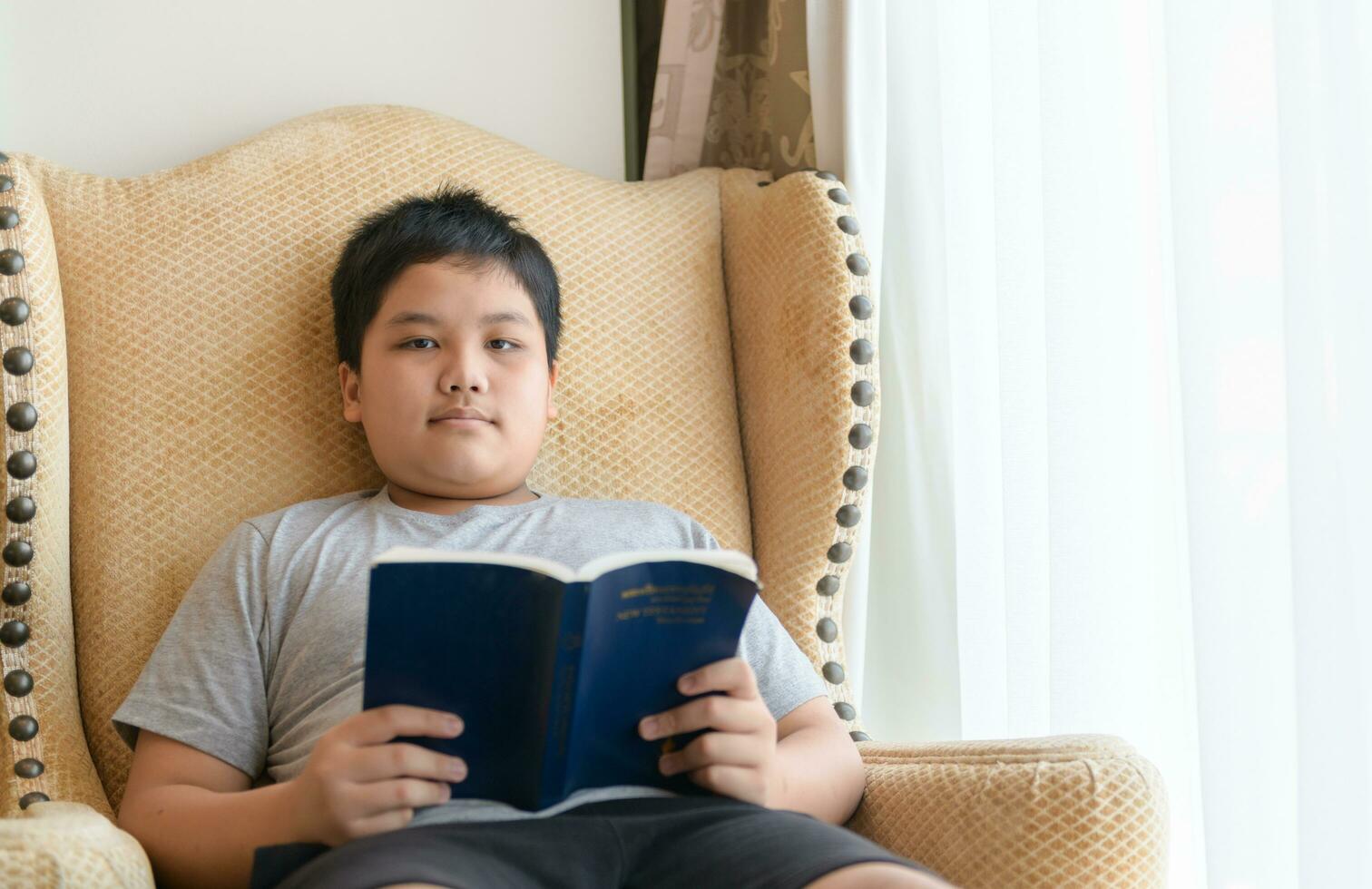 Young boy reading book on chair at home. photo