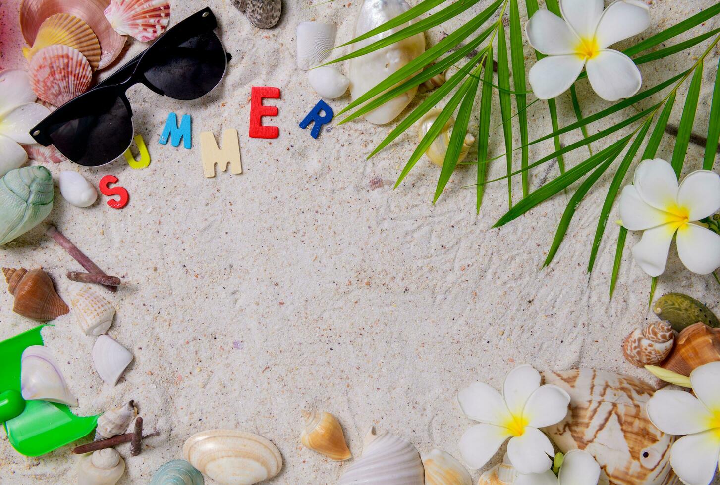 colorful summer text with Shells and plumeria flowers on sand photo