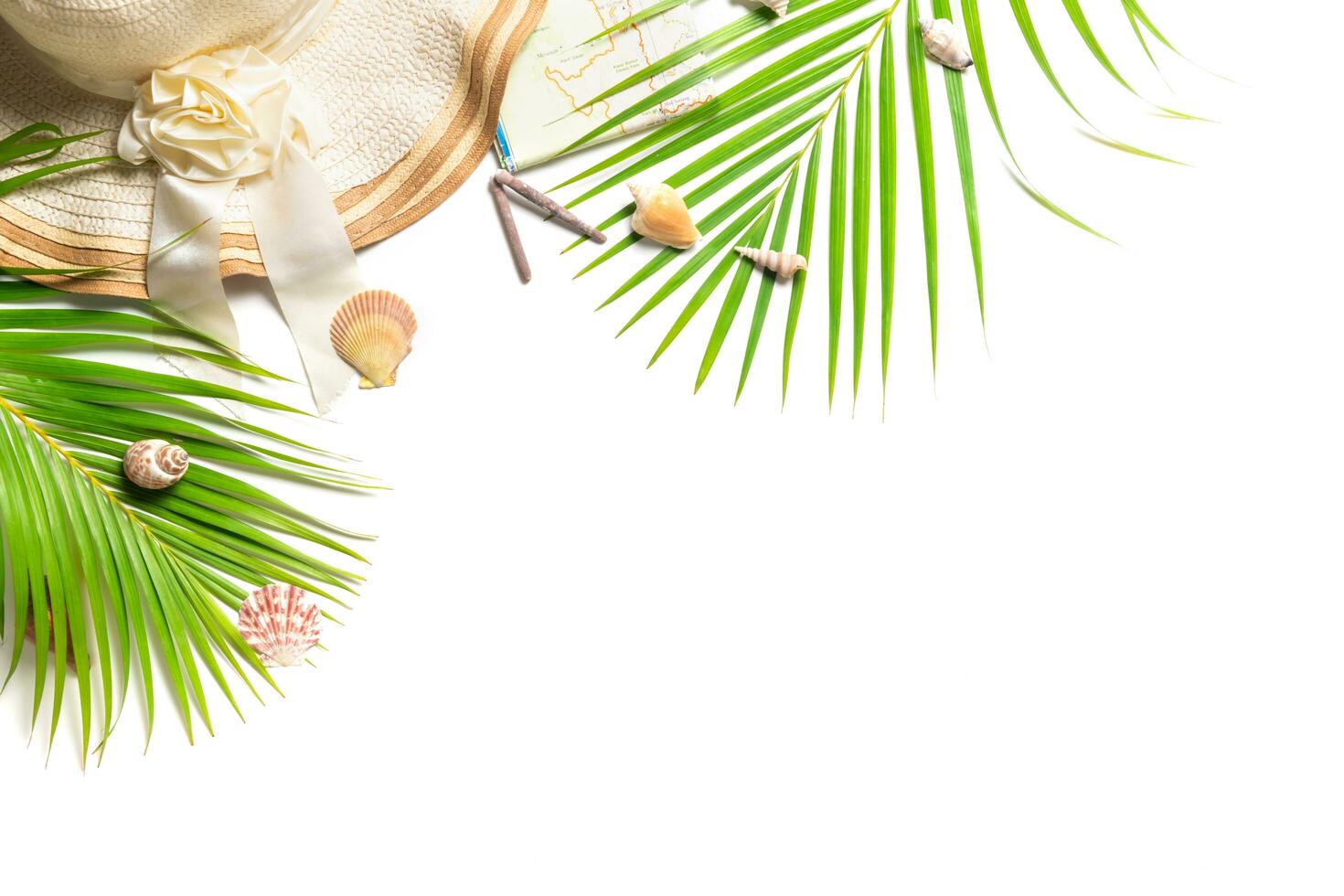 Traveler accessories, tropical palm leaf branches and big hat isolated photo