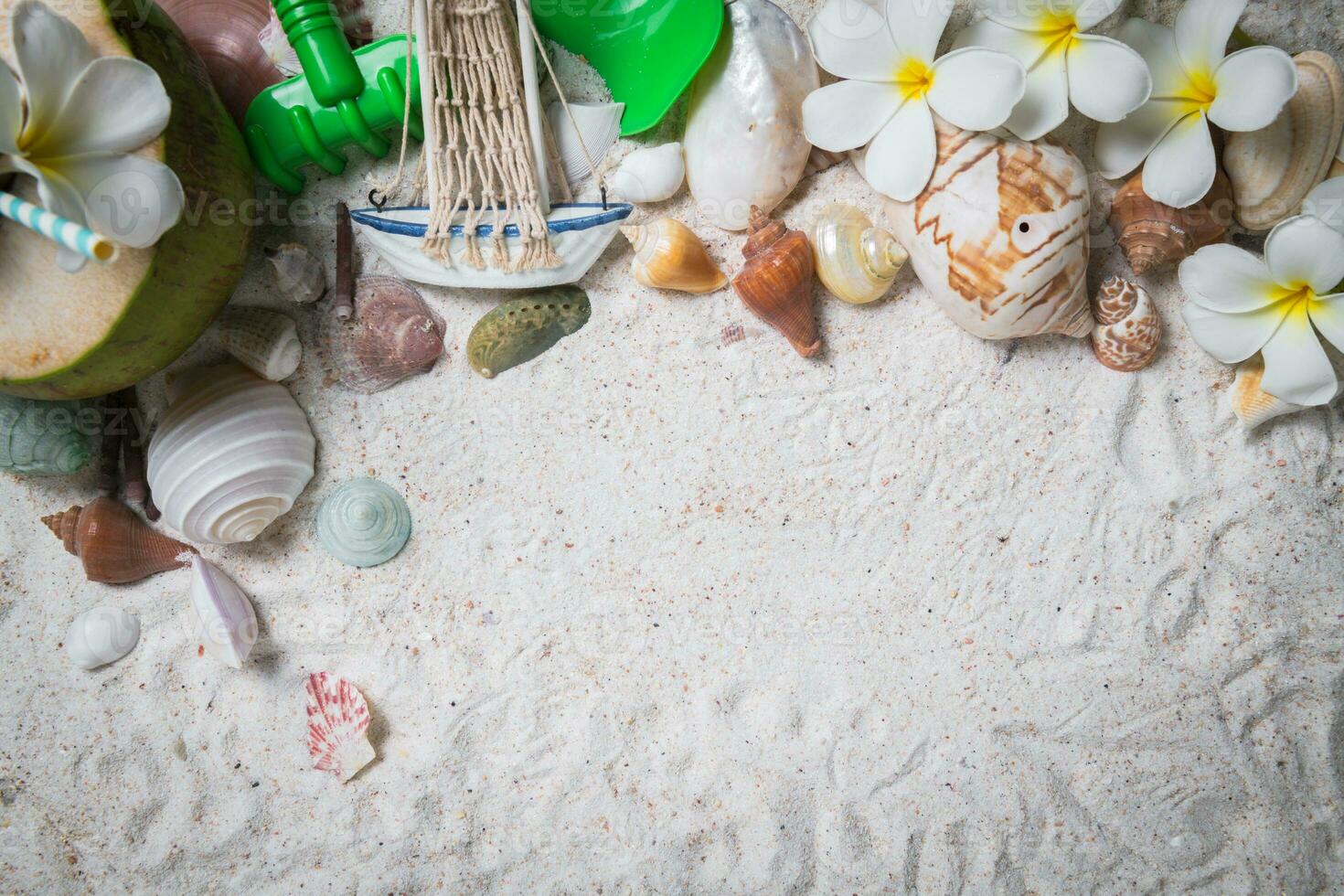 Shells and plumeria flowers on sand background, photo