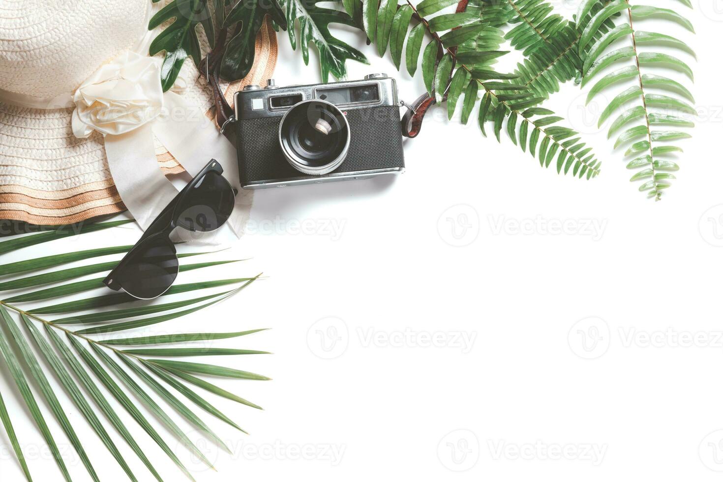 Traveler accessories, tropical leaves with big hat and vintage camera photo
