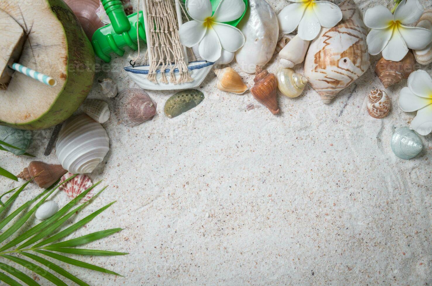 Shells and plumeria flowers on sand background, photo