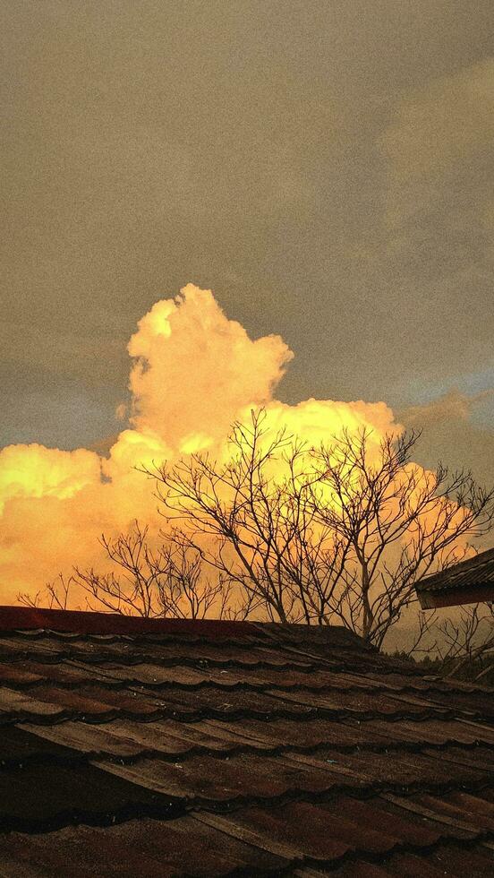 A cloud in the sky is lit up by the setting sun photo