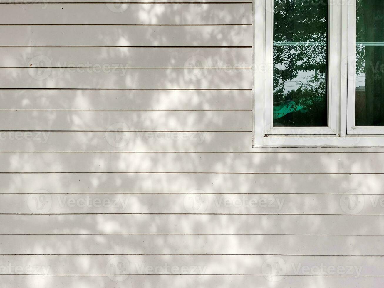 Shadows of leaves and branches on the wall of the house with glass window photo