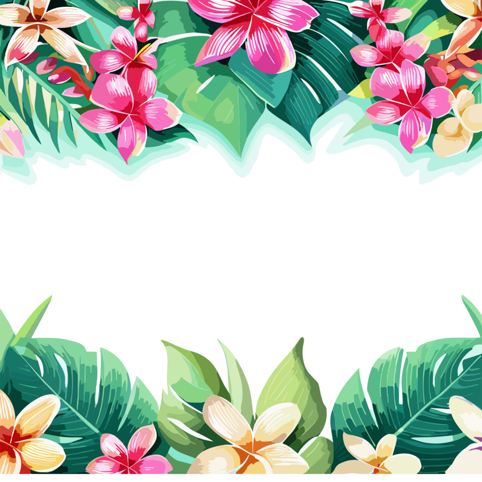 Border transparent background, png