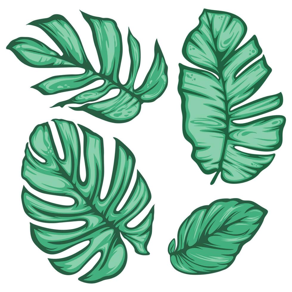 Set of vector tropical leaves.