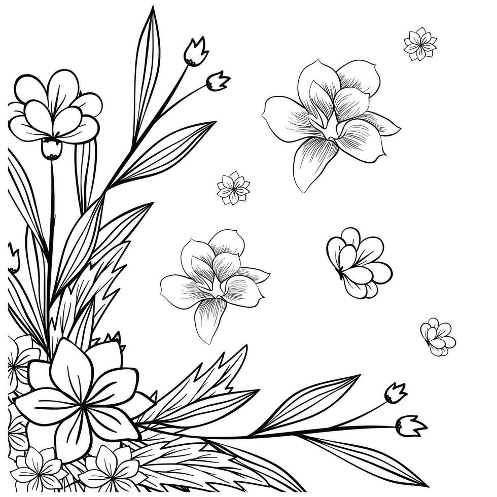 Sketch Floral Botany Collection. Magnolia flower drawings. Black and white with line art on white backgrounds. Hand Drawn Botanical Illustrations.Vector. vector