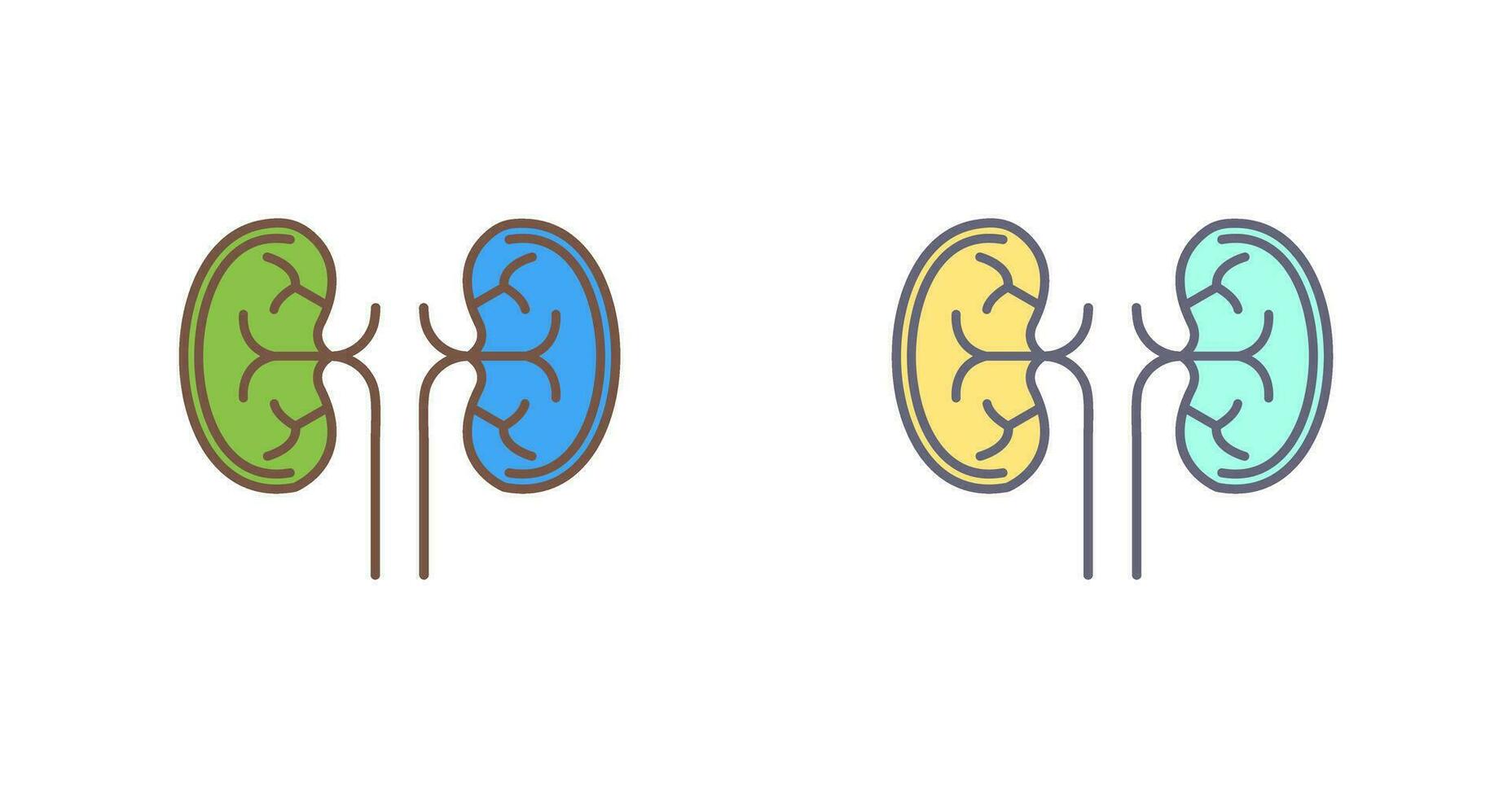 Kidney Vector Icon