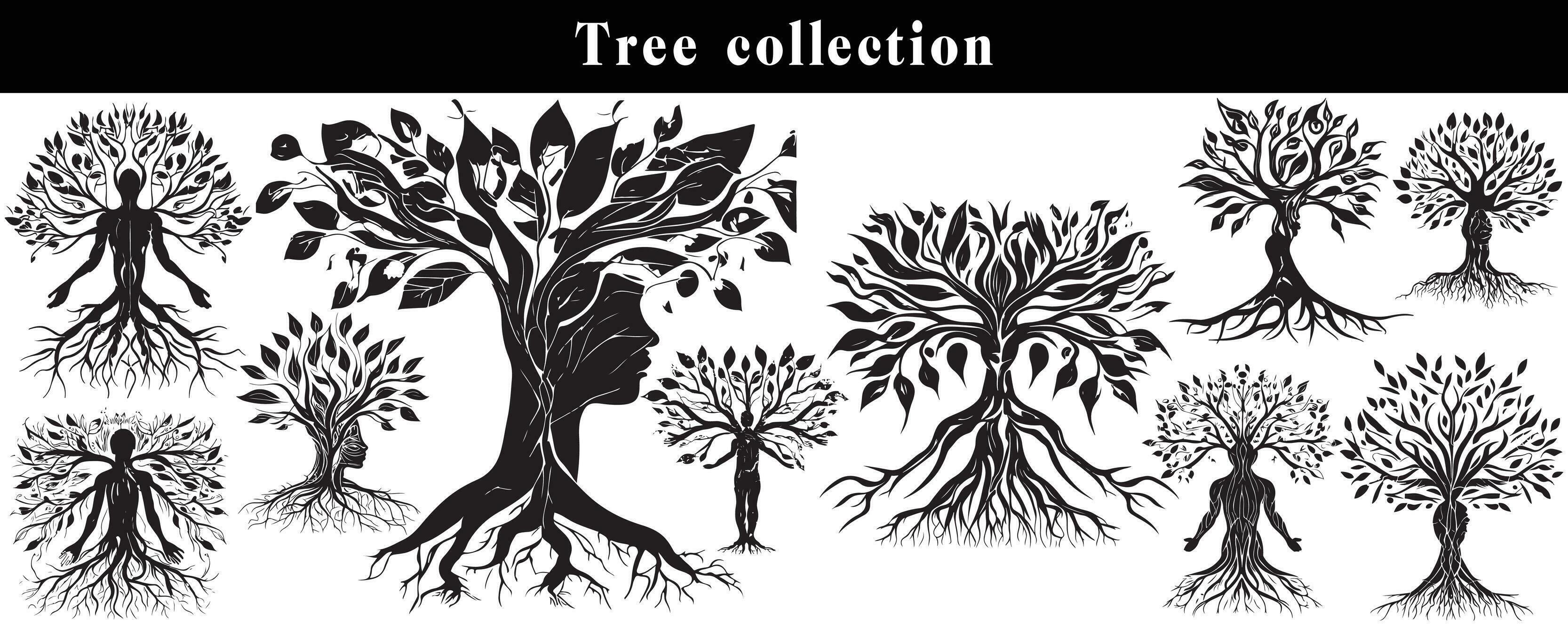 set of silhouettes of trees. black and white tree vector set. tree