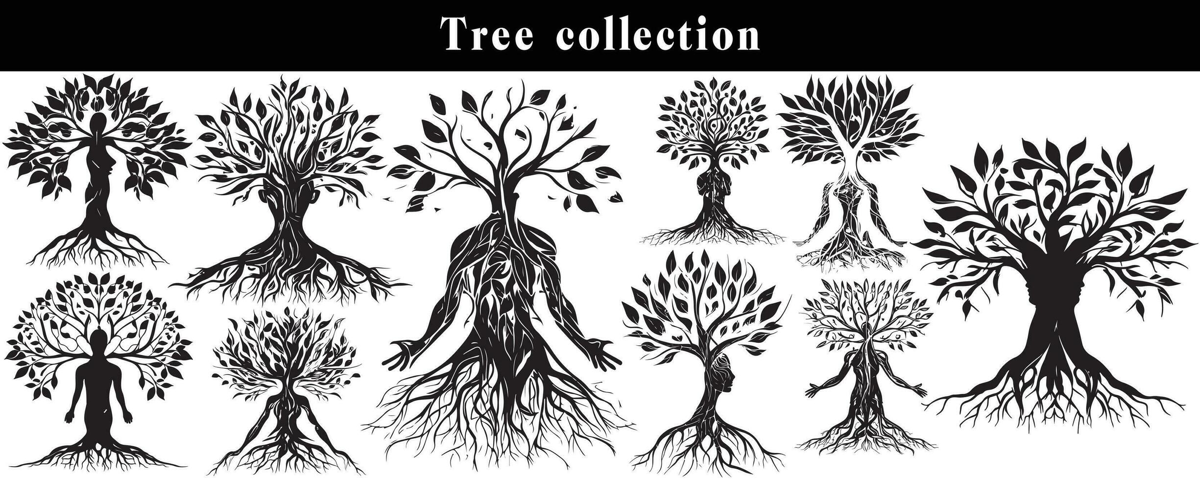 set of silhouettes of trees. black and white tree vector set. tree silhouette set on white background.