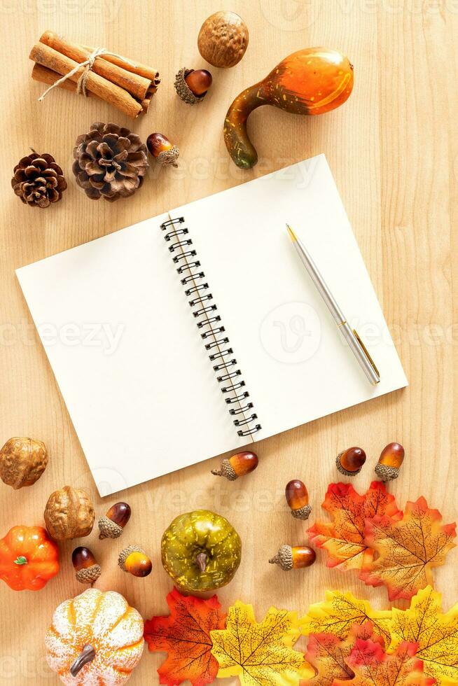 Squash  Autumn Foliage Thanksgiving and fall theme background photo