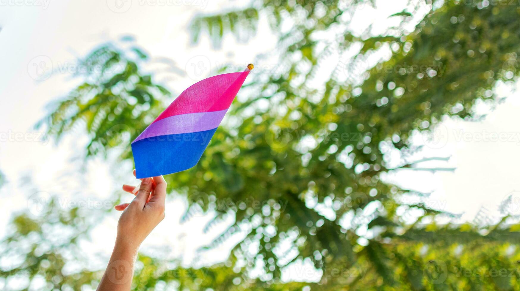 Gender queer. Bisexual Pride flag waving in the wind. Selective focus. photo