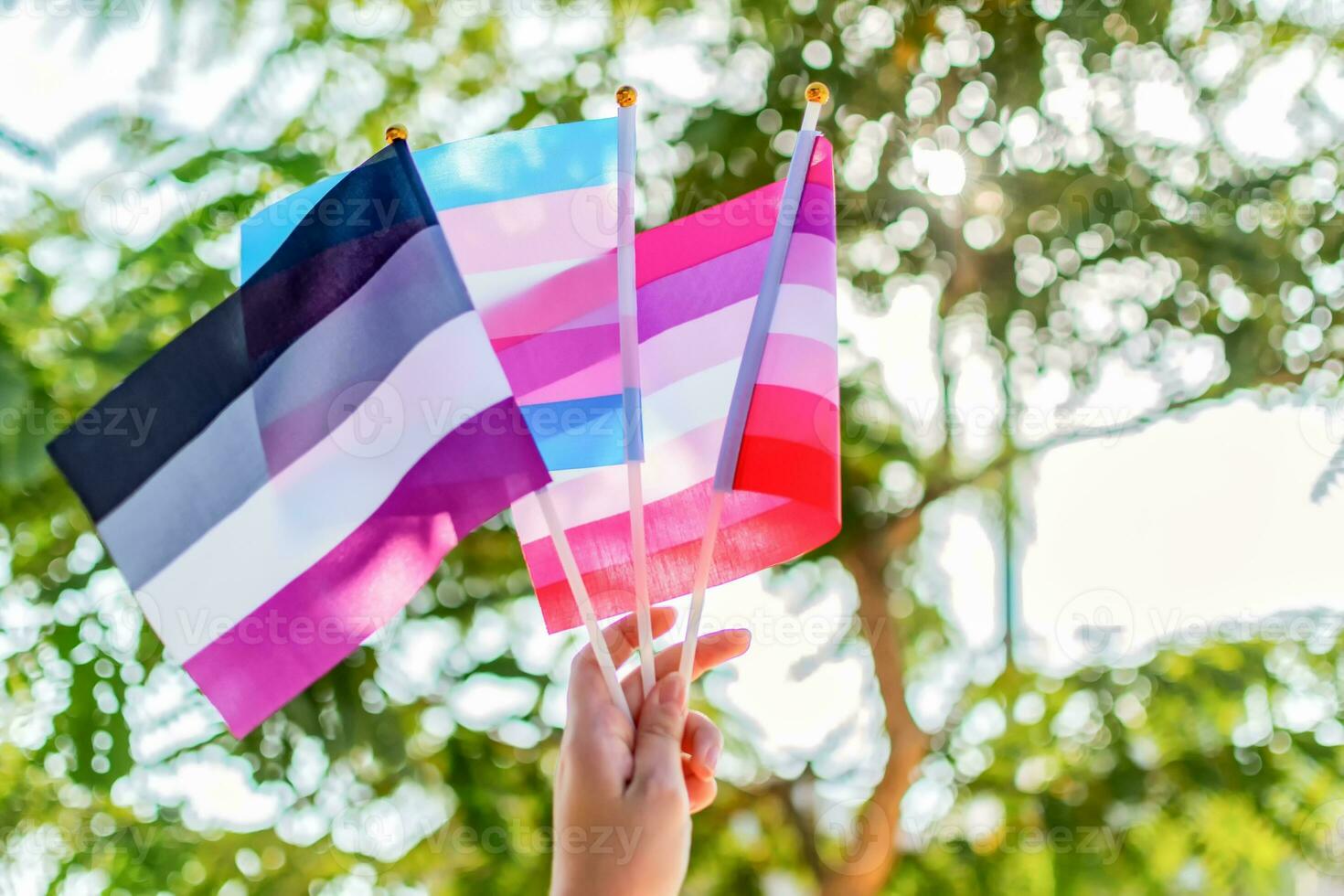 Female hand hold asexual, transgender and lesbian flag. Selective focus. Gender queer. photo