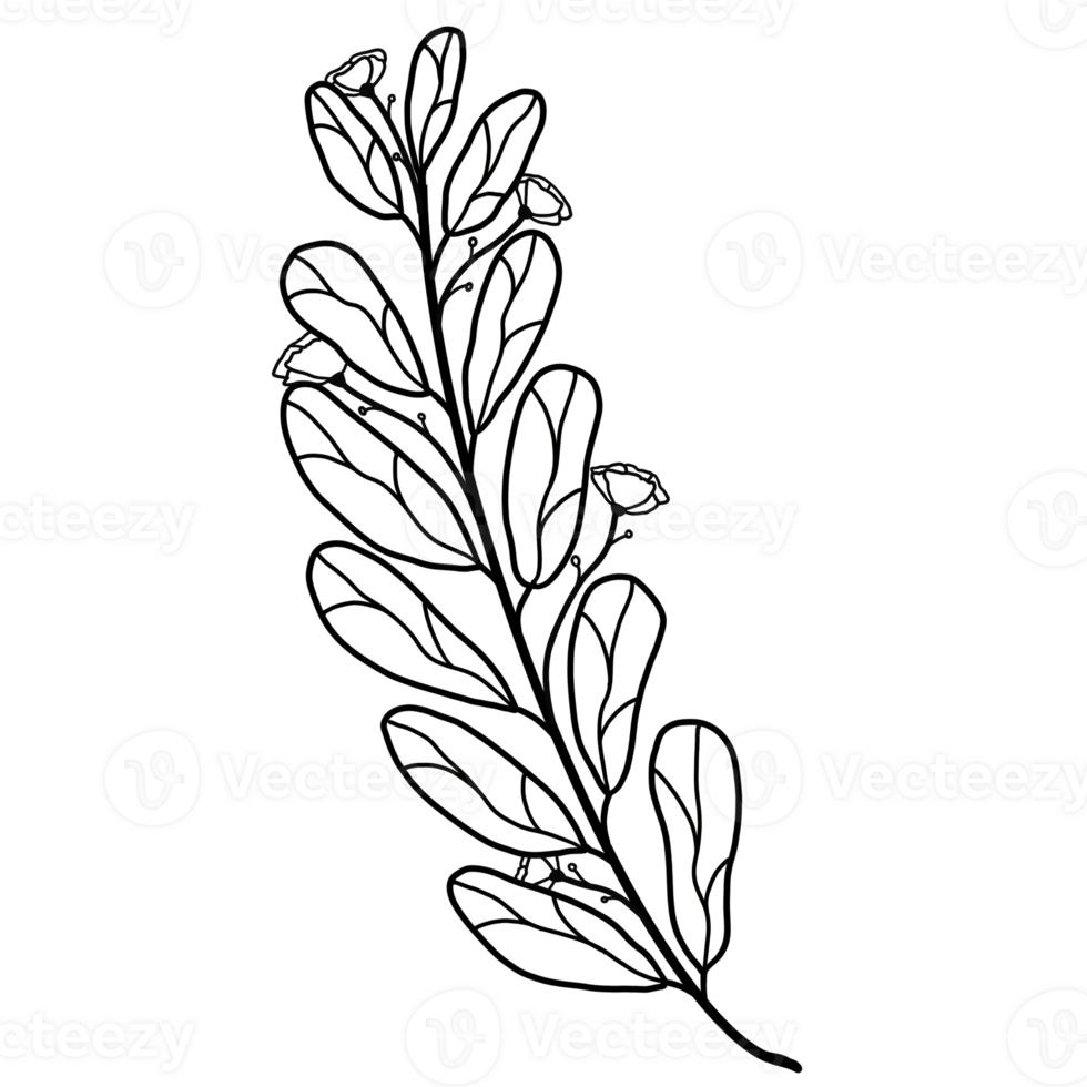 The black floral pattern goes beautifully with your photos and billboards png