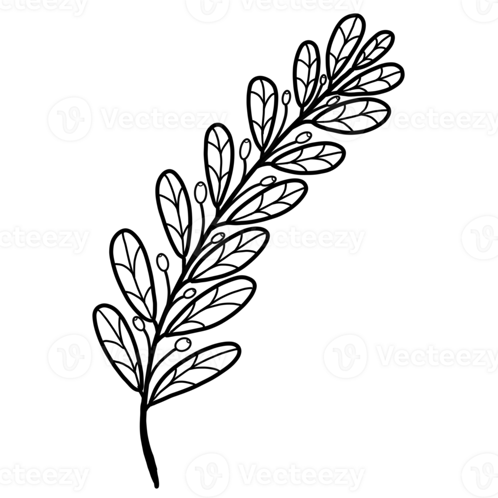 The black floral pattern goes beautifully with your photos and billboards The black floral pattern goes beautifully with your photos and billboards png
