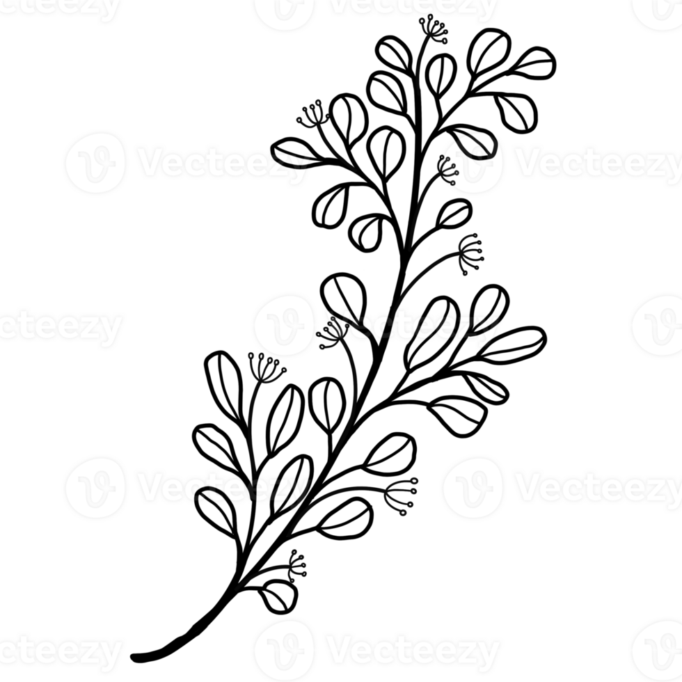 The black floral pattern goes beautifully with your photos and billboards png