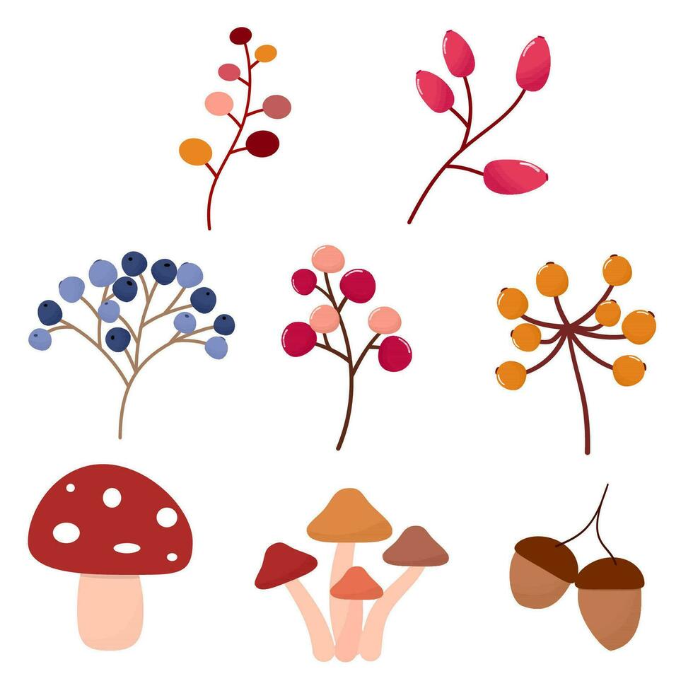 autumn leaves elements vector