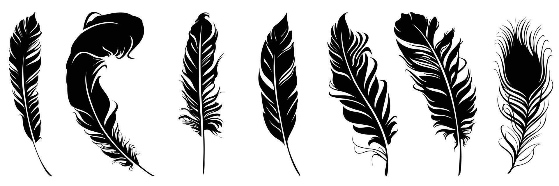 detailed majestic feather collection. various set of feathers illustration vector