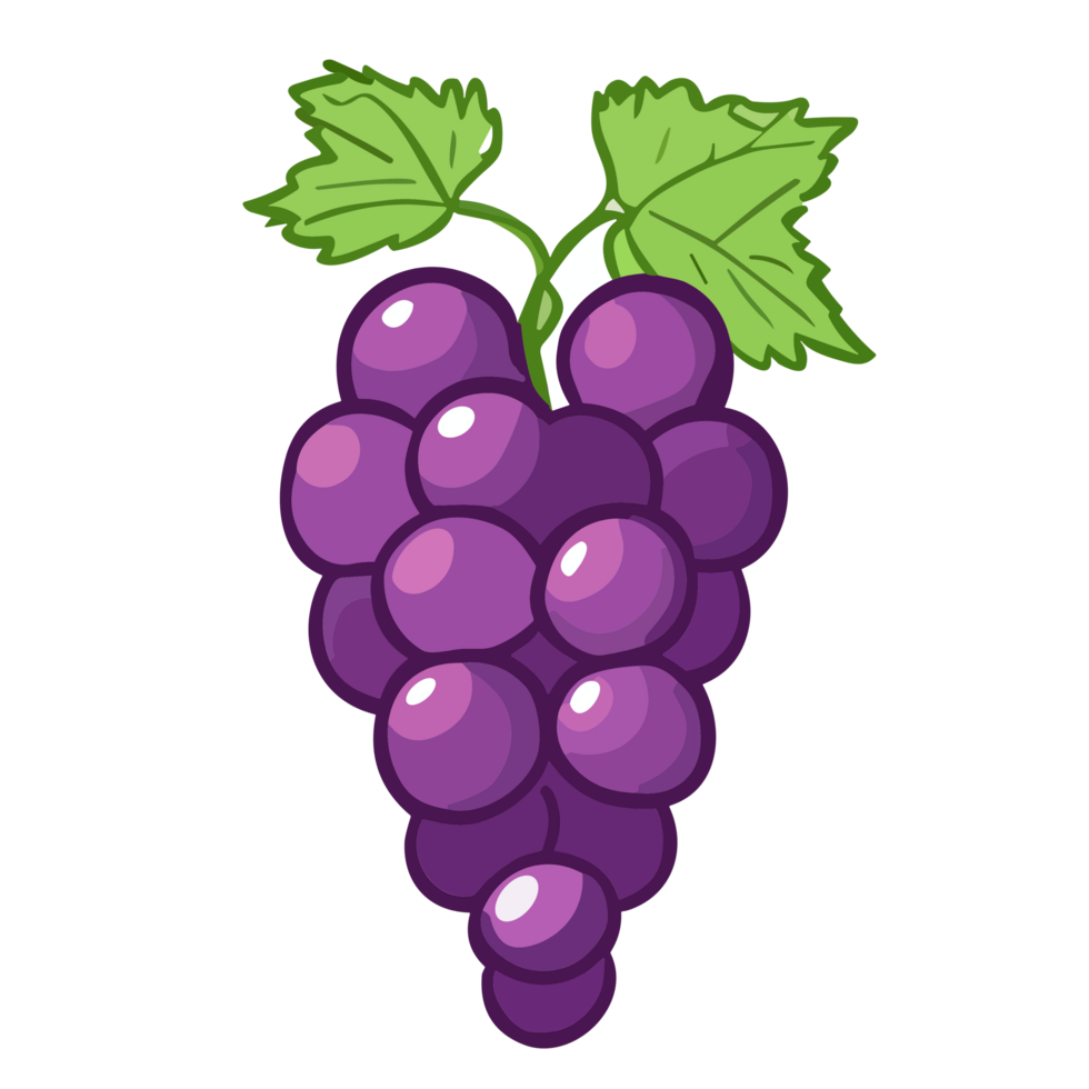 Grape clipart transparent background, png