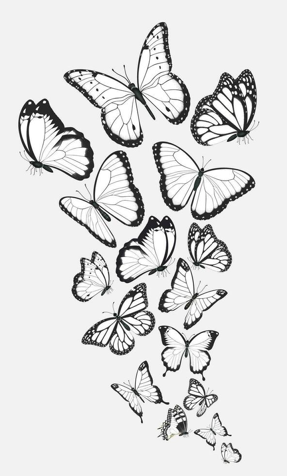 Composition of group black and white butterflies flying in a flock vector