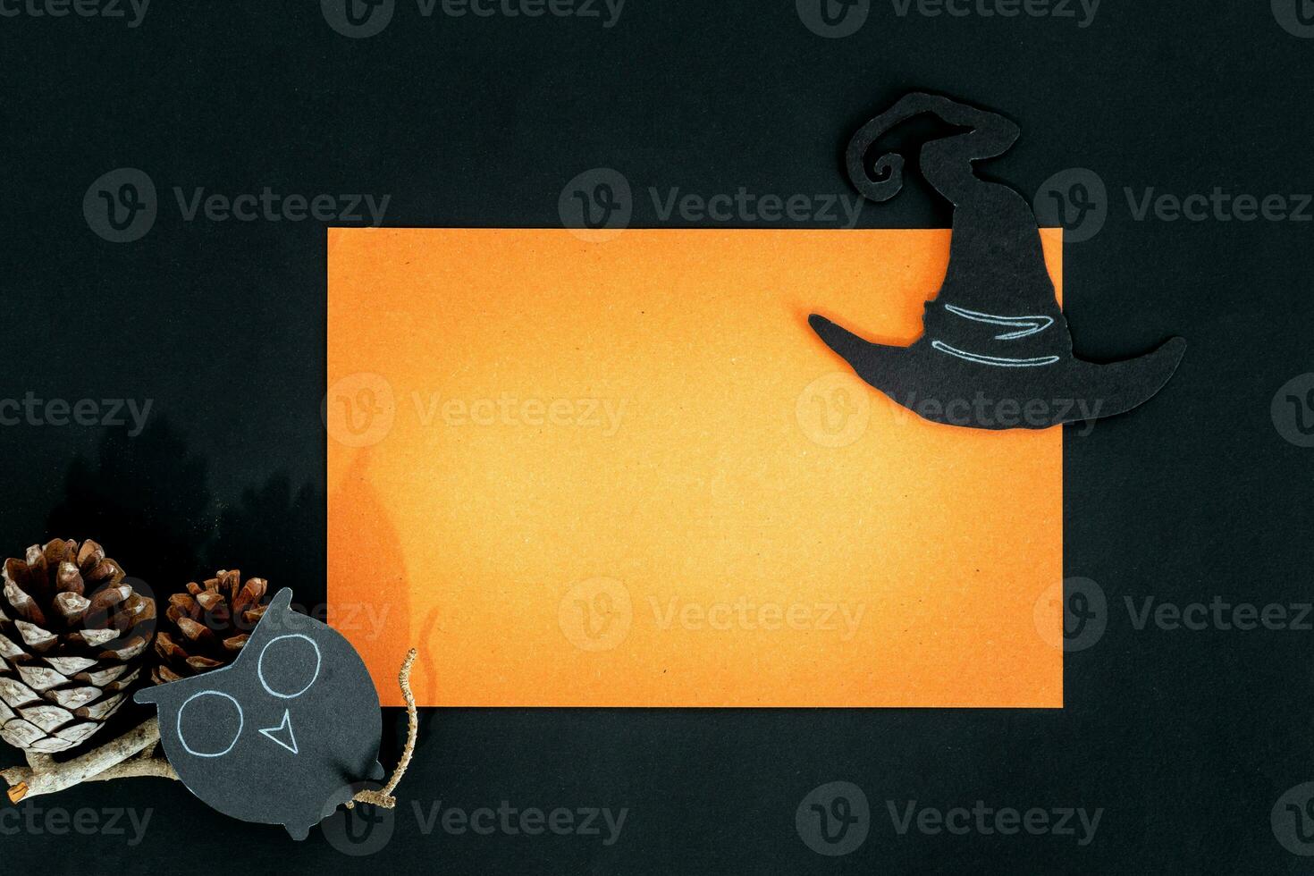 Halloween invitation. The owl and witch hat on orange and black background. photo