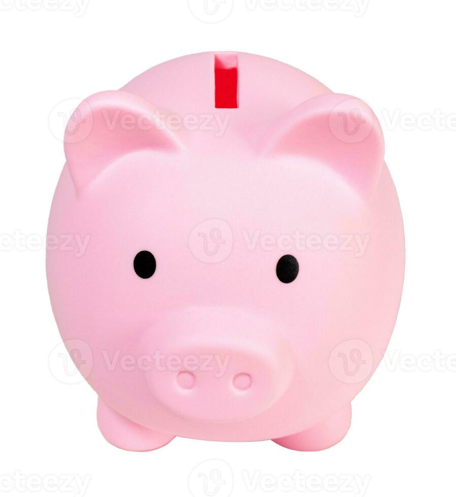 Pink piggy bank, isolated on blank background. photo