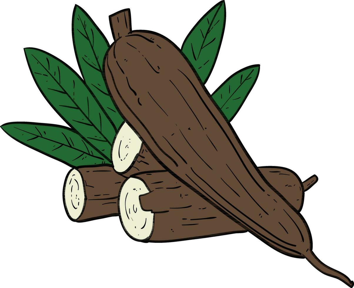 Vegetable with leaves. Vector illustration in doodle style.
