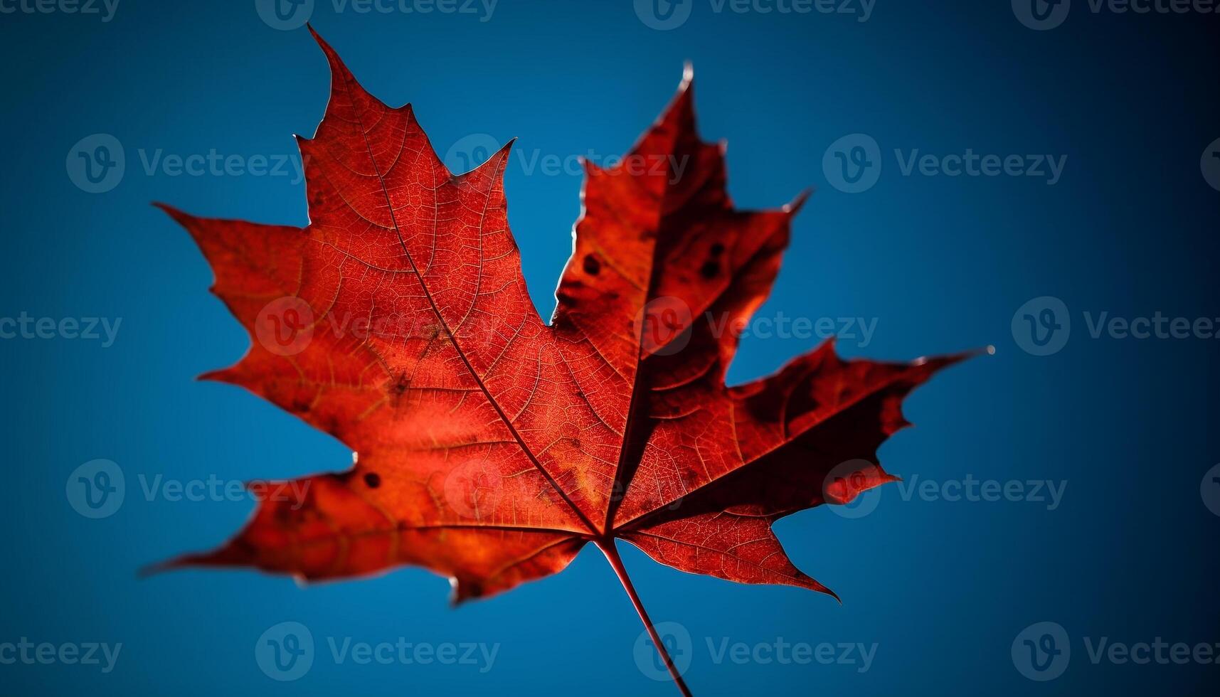 Vibrant autumn maple leaf, symbol of change generated by AI photo