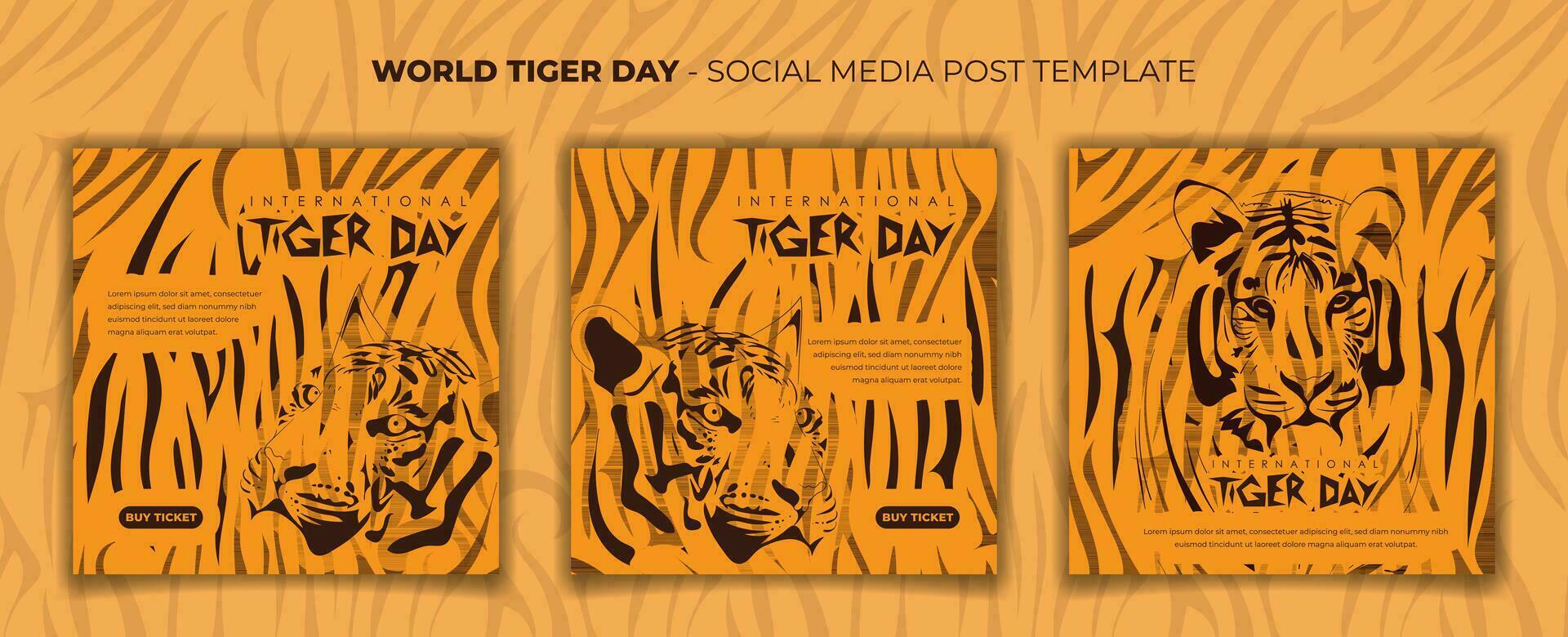 Set of social media post template with orange tiger skin background for tiger day campaign design vector