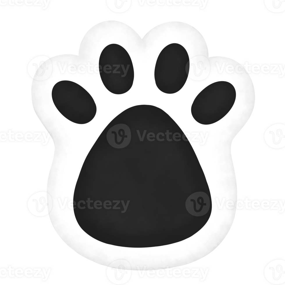 White and Black Fluffy Cat Paw png