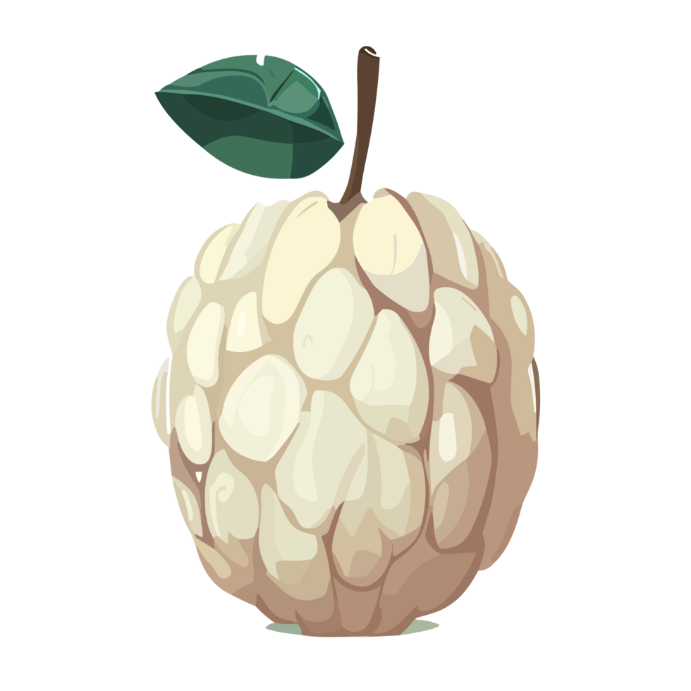 Custard Apple transparent background ,AI Generative png