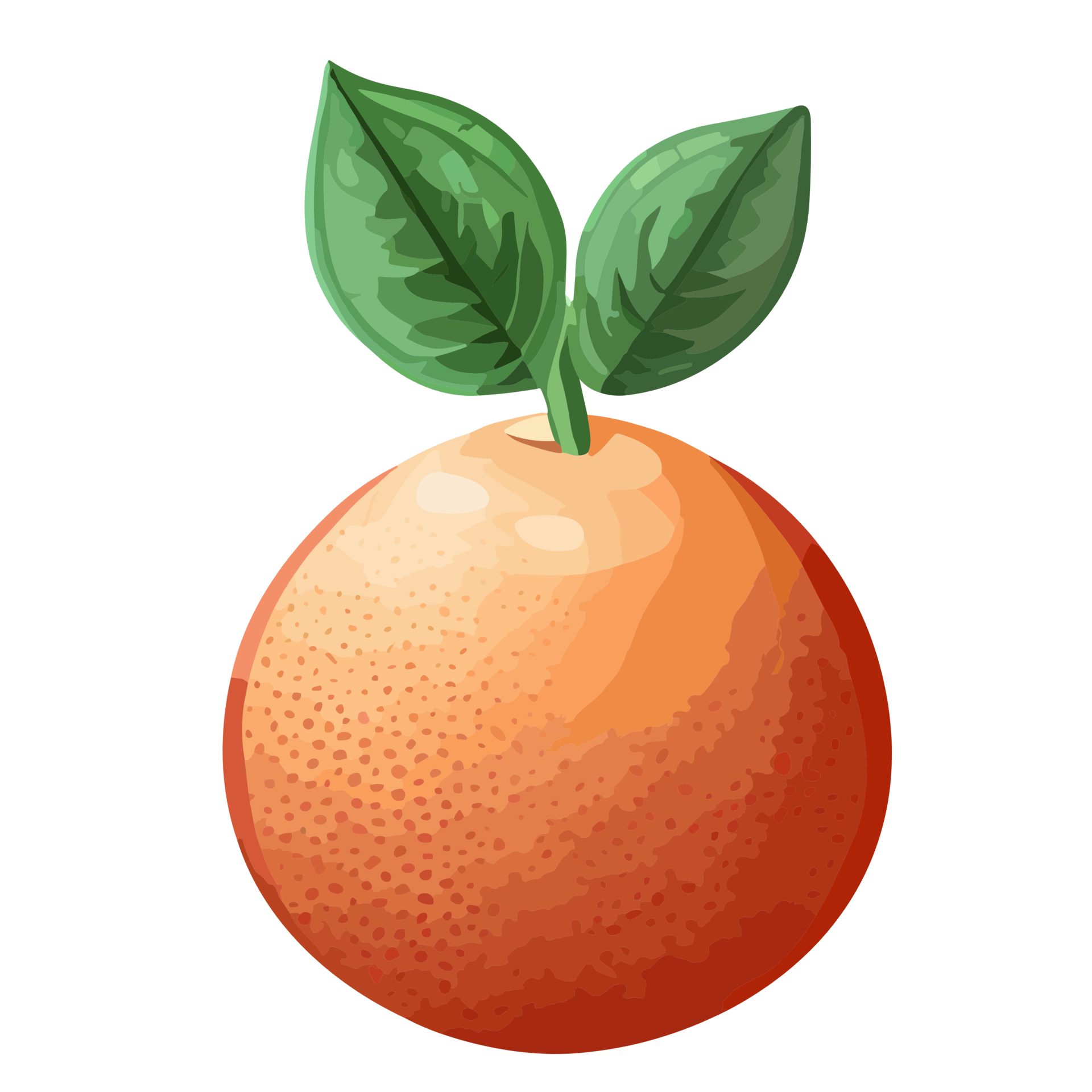 Orange fruit transparent background,AI Generative 25312945 PNG