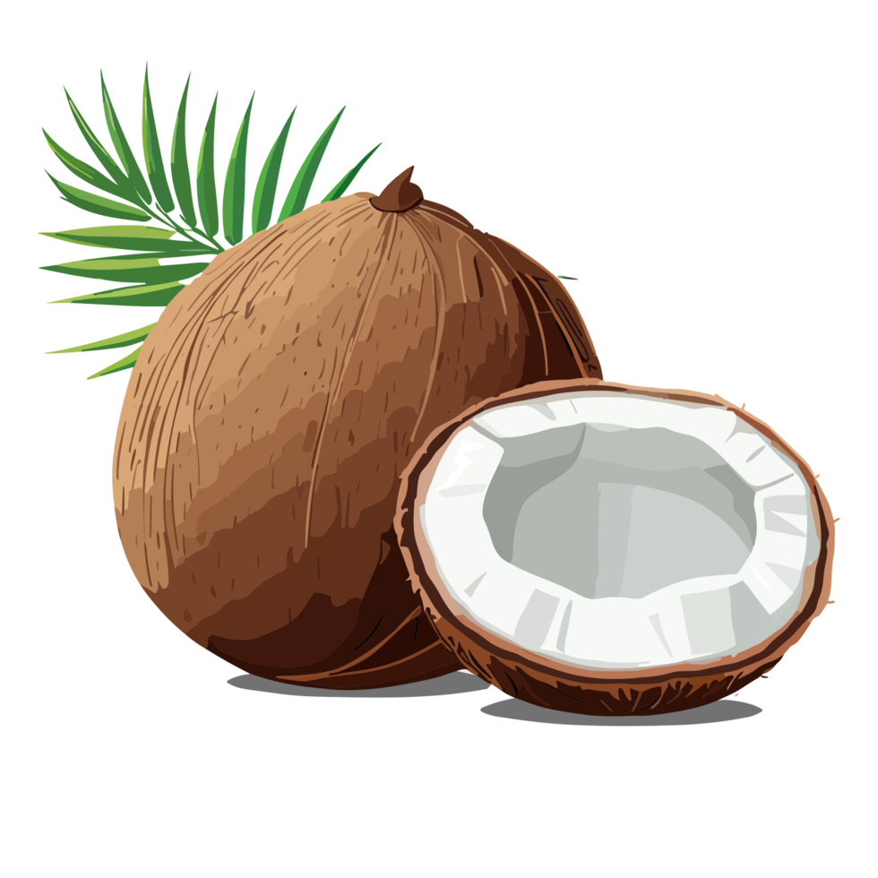 noix de coco transparent arrière-plan, ai génératif png