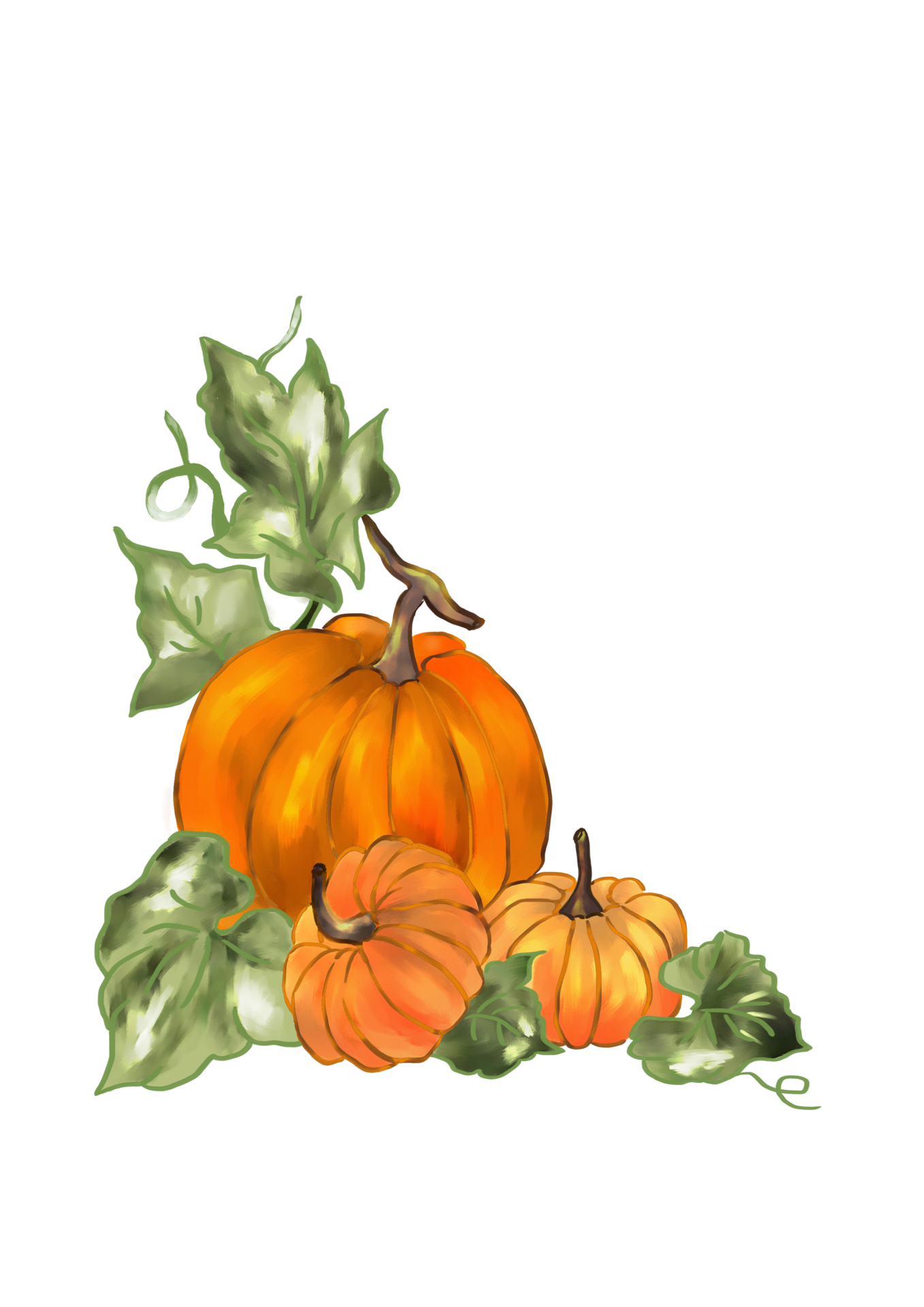 digital-art-painting-pumpkin-plant-with-green-leaves-25313052-png
