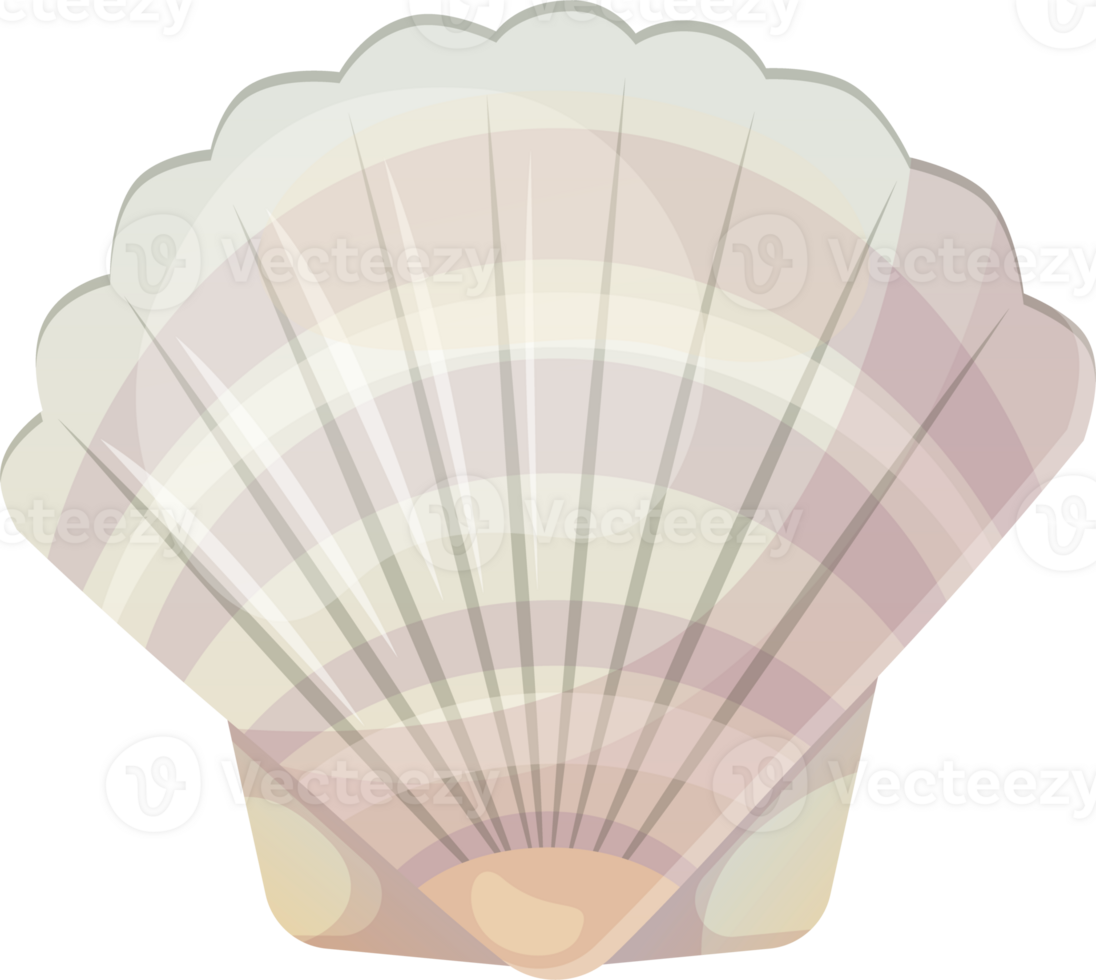 Colorful tropical shell png.Summer concept in cartoon style. Illustration isolated on transparent background. png