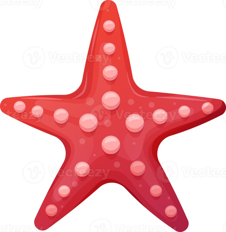 Colorful tropical marine starfish png.Summer concept in cartoon style. Illustration isolated on transparent background. png