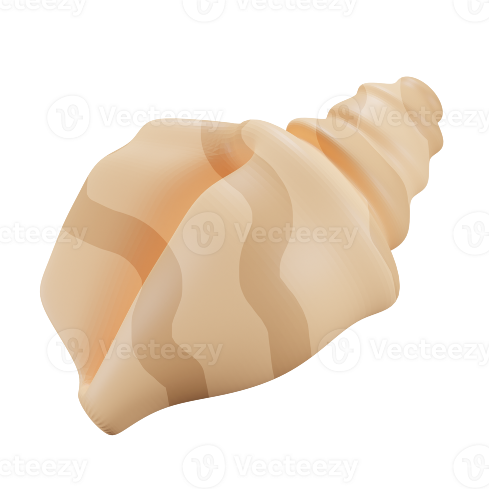 3D render seashell png