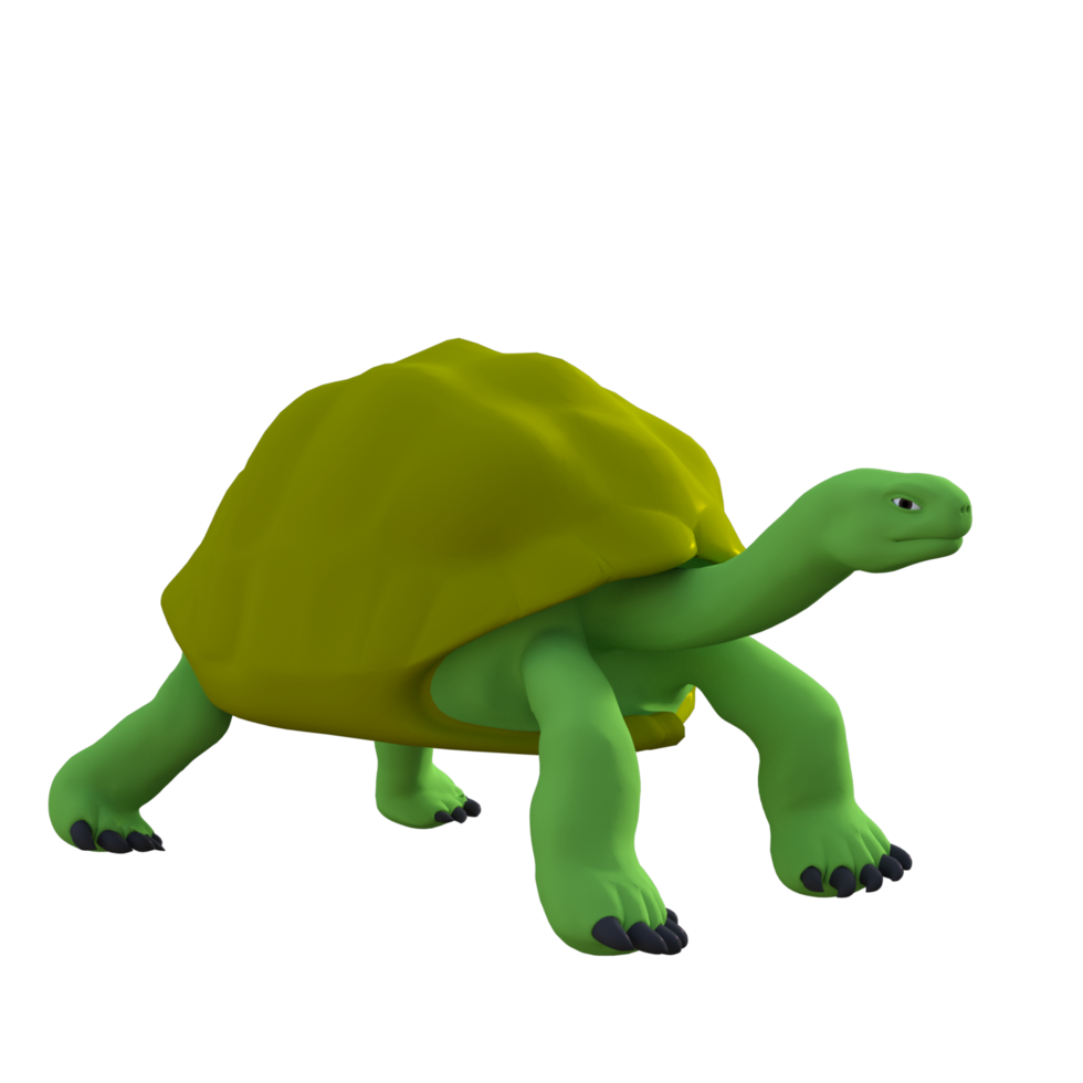 Tortuga animal aislado 3d png