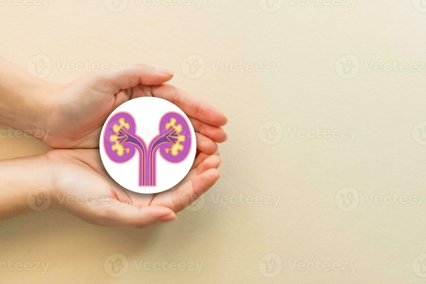 Female hands holding paper of kidneys shape on pastel background, top view. photo