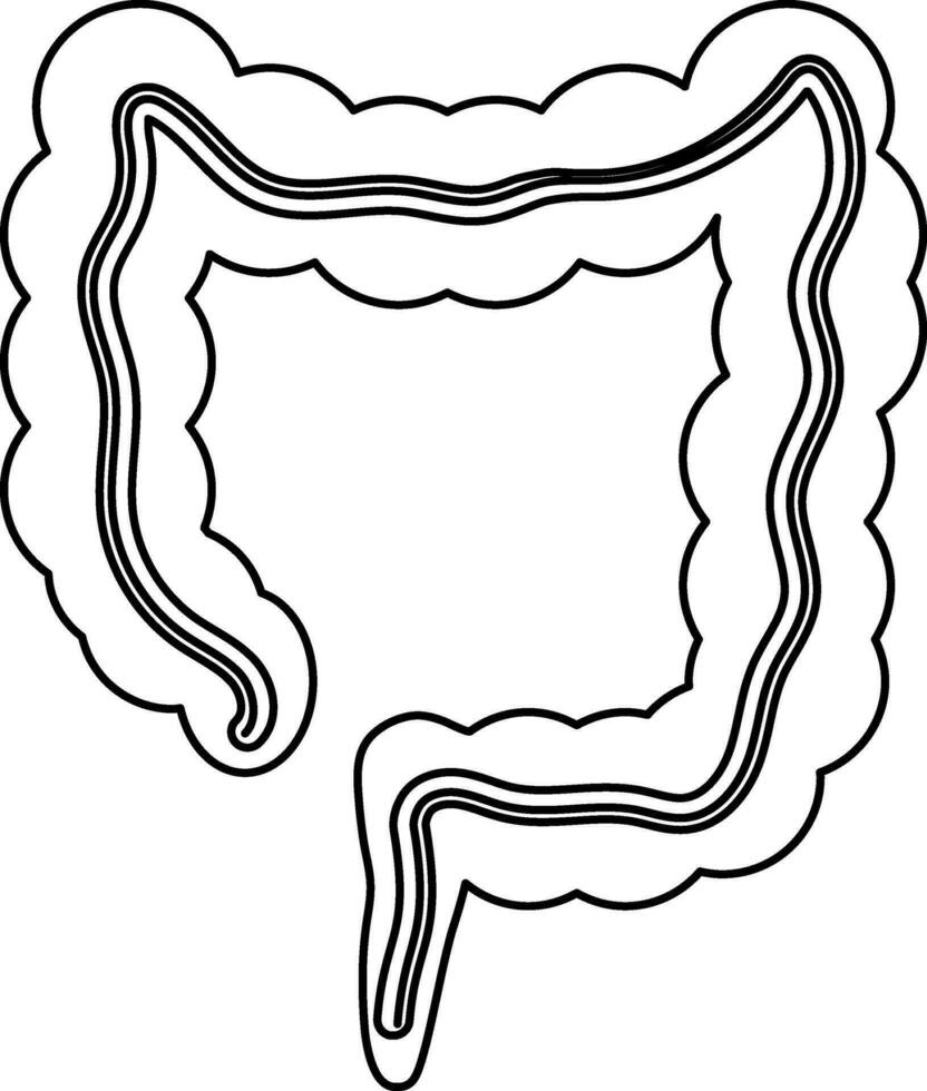 Picture of large intestine icon in stroke of body part. vector